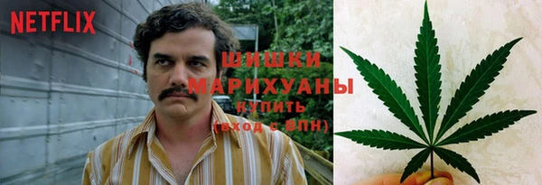 стаф Бородино