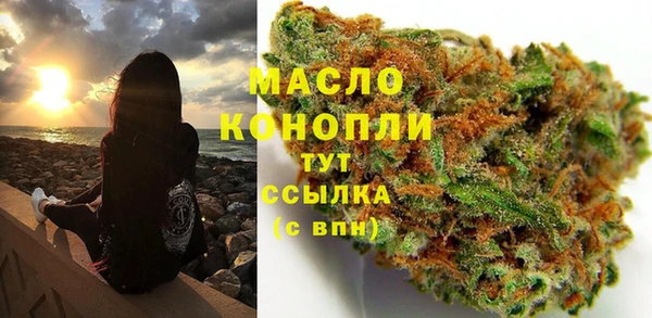 стаф Бородино
