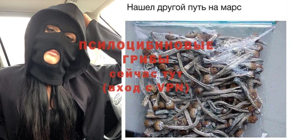 стаф Бородино
