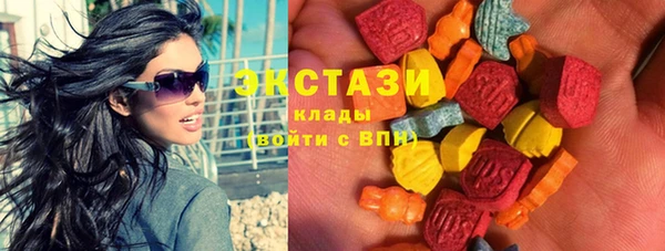 стаф Бородино