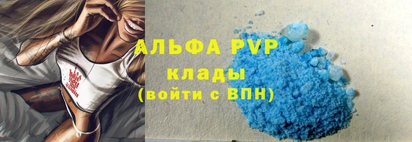 стаф Бородино