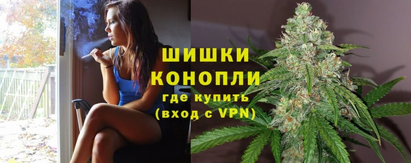 гашик Бронницы