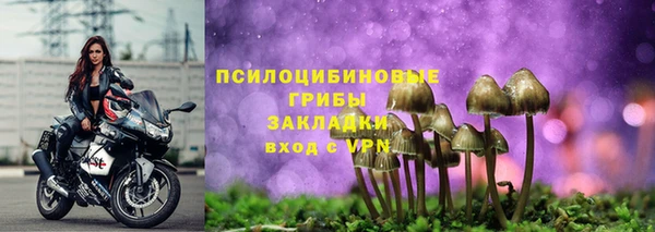 стаф Бородино