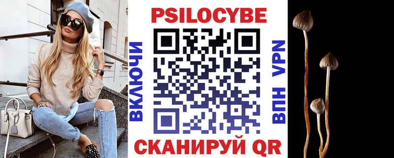 наркота  Эртиль  Псилоцибиновые грибы Magic Shrooms 