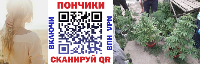 Конопля SATIVA & INDICA Эртиль